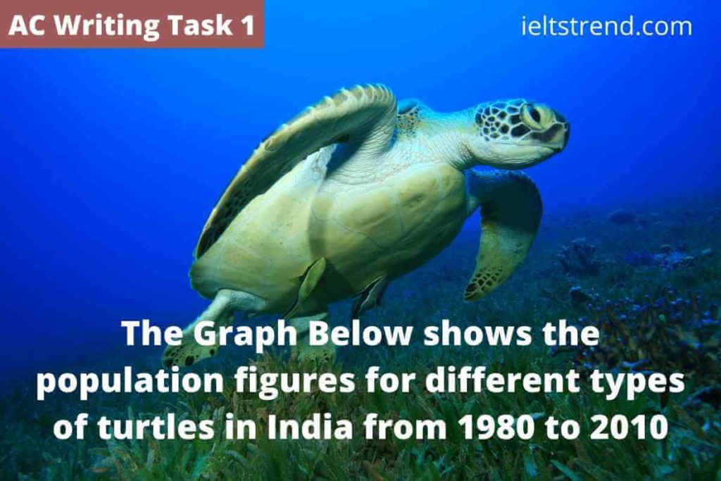 The Graph Below shows the population figures for different types of turtles in India from 1980 to 2010