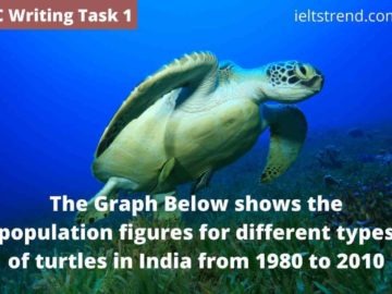 The Graph Below shows the population figures for different types of turtles in India from 1980 to 2010