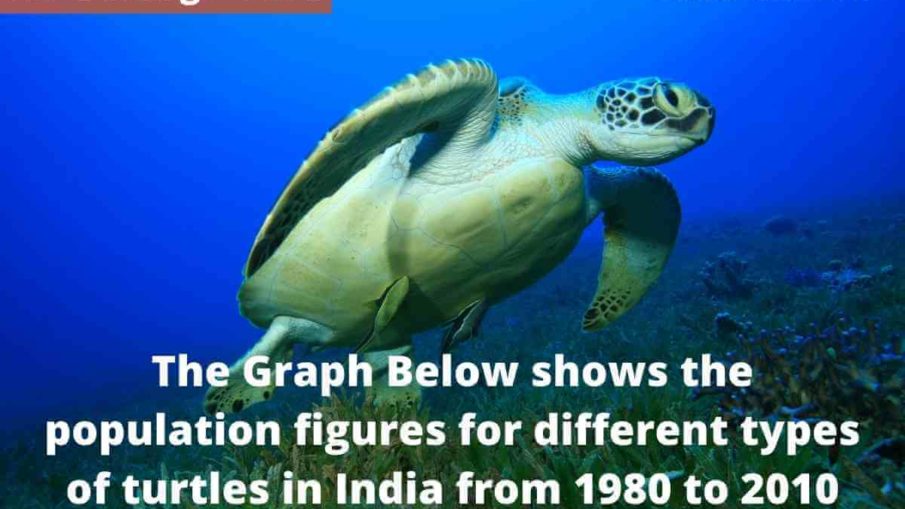 The Graph Below shows the population figures for different types of turtles in India from 1980 to 2010