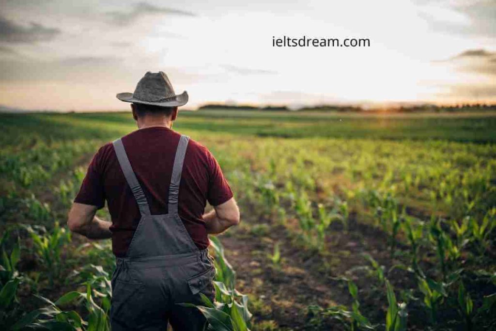 Talk about a Time when You Visited a Farm or Met with a Farmer