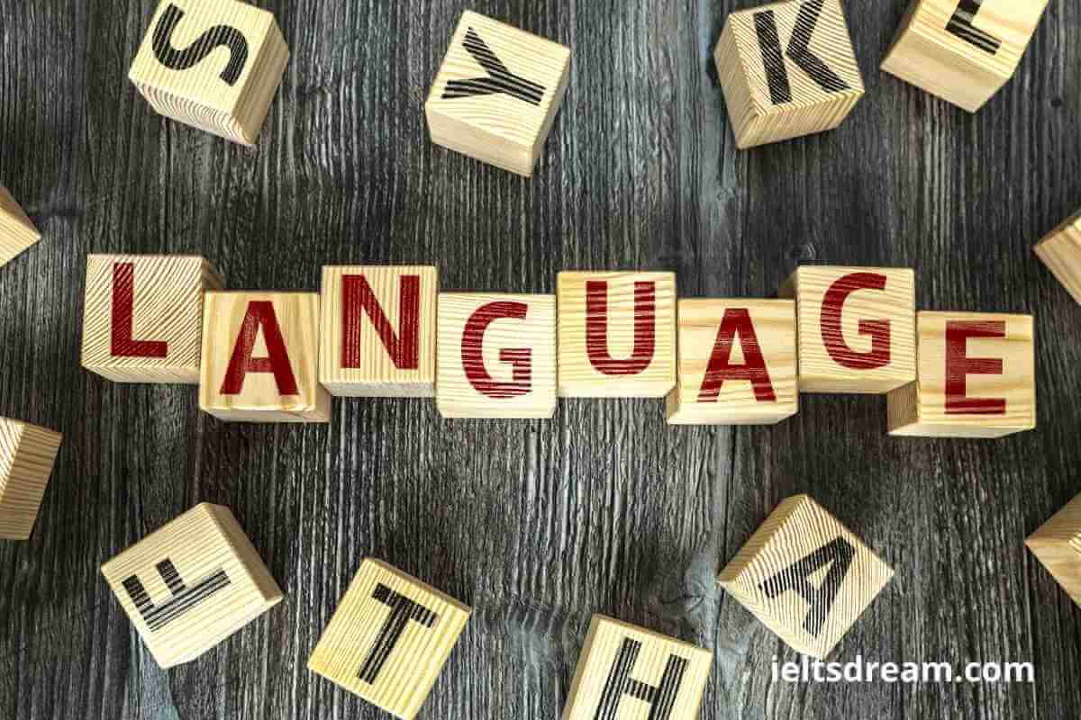 some-feel-governments-should-invest-in-preserving-minority-languages