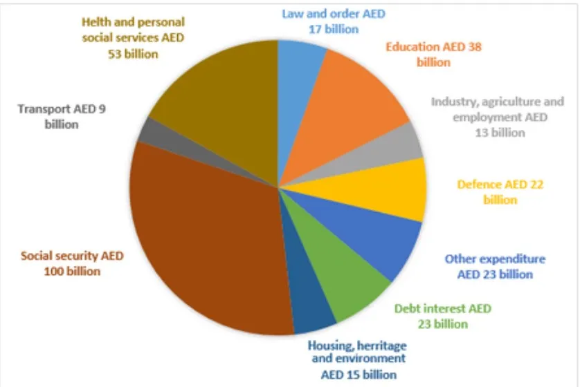 The chart below shows how much money is spent in the budget on different sectors by the UAE