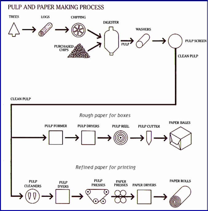 The diagram gives information about the process of making pulp and paper
