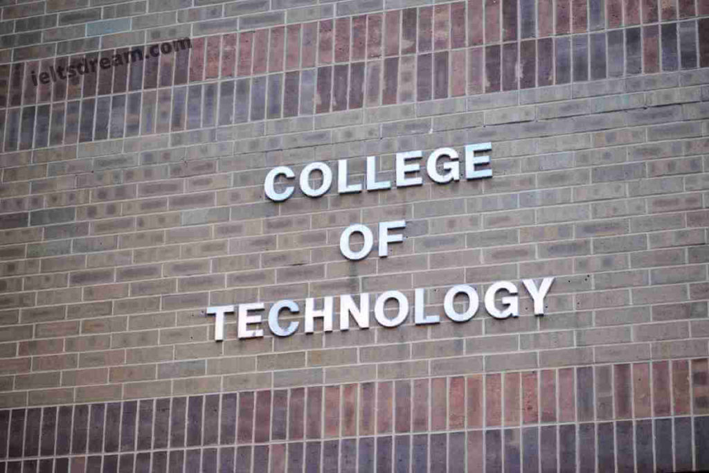 The Graphs Show Enrolment in Different Colleges in The Higher Colleges of Technology in 1999 (1)