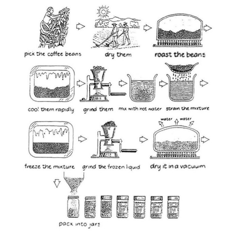 The Diagram Below Shows how Coffee Is Produced and Prepared for Sale in Supermarkets