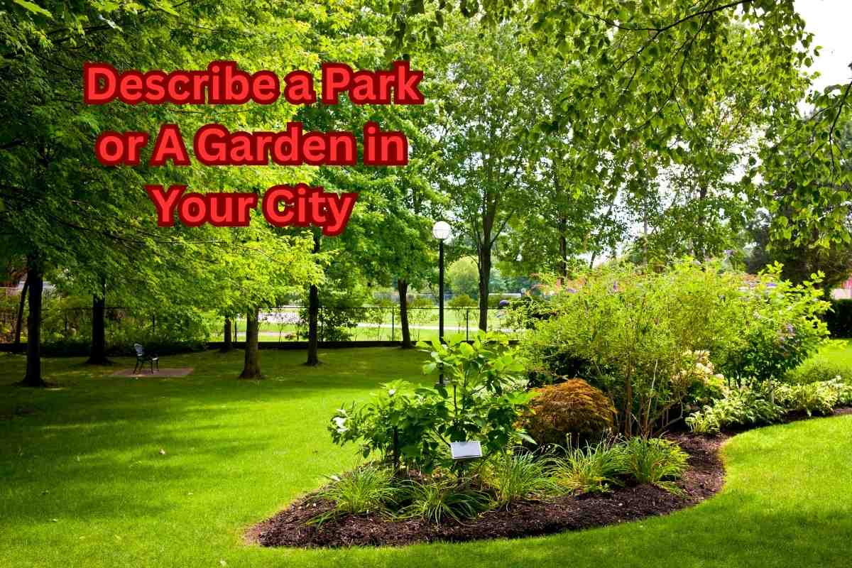 Describe a Park or A Garden in Your City