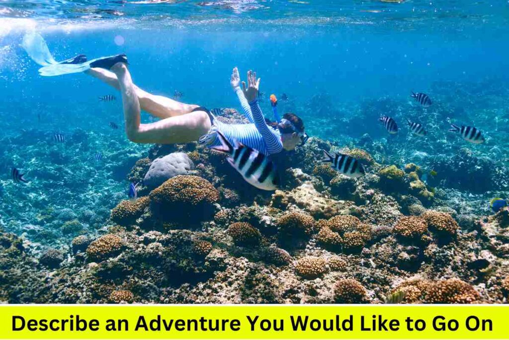 Describe an Adventure You Would Like to Go On